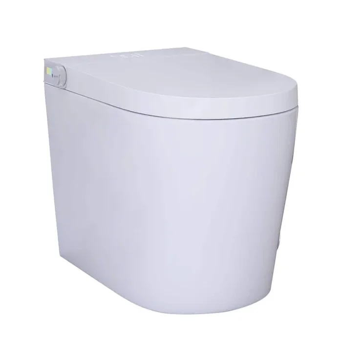 JimsMaison Elongated Smart Bidet Toilet 1.19 GPF with Foot Sensing and Auto Flushing