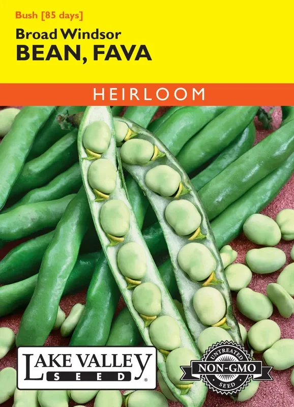 Lake Valley Seed – Broad Windsor Heirloom Fava Bean