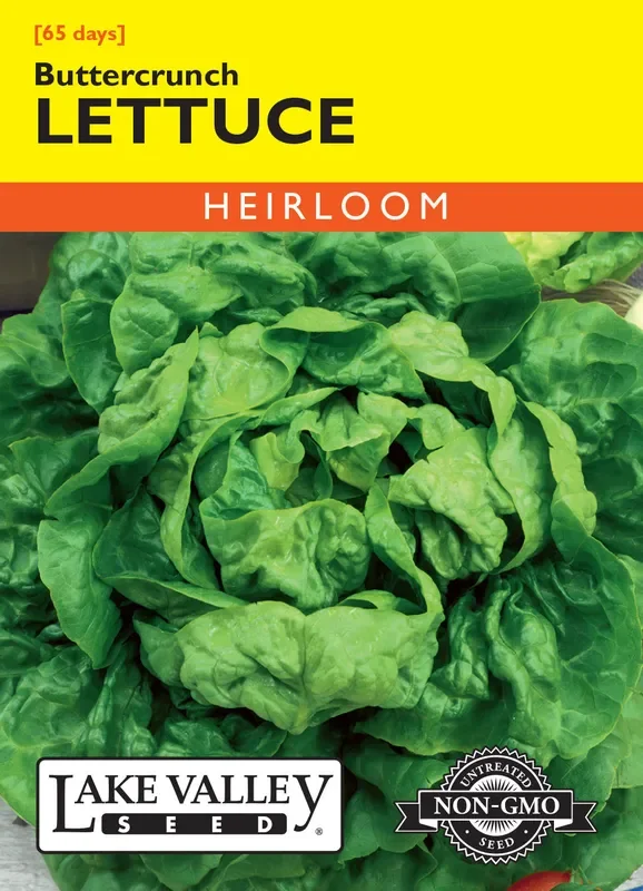 Lake Valley Seed – Buttercrunch Lettuce