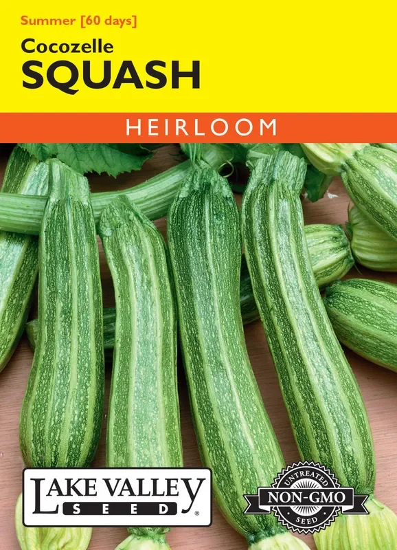 Lake Valley Seed – Cocozelle Squash