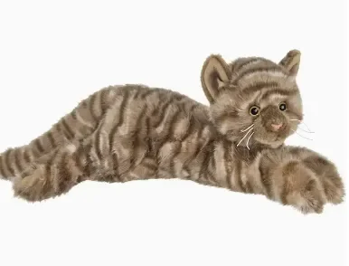 Louie Tabby Cat