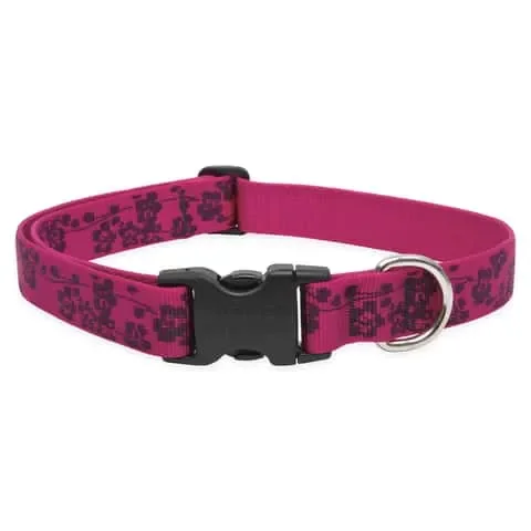 LupinePet Original Designs Multicolor Plum Blossom Nylon Dog Adjustable Collar