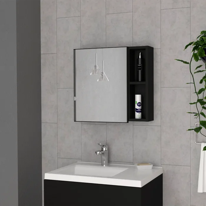 Medicine 18H” Single Door Cabinet, Two External Shelves, Three Interior Shelvesblack Black Particle Board Particle Board