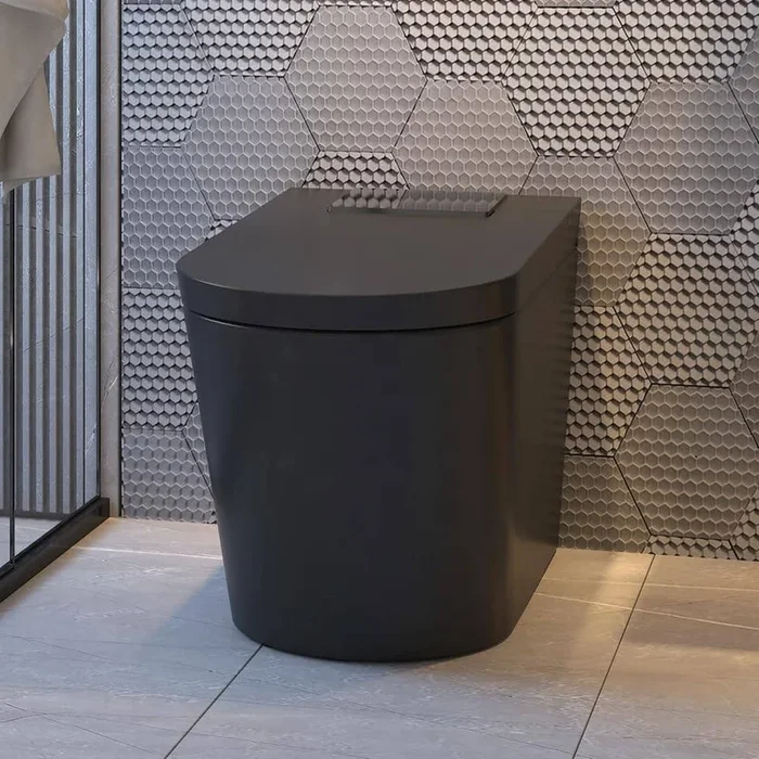 MEDUNJESS M-G Elongated Black Smart Toilet with Auto Features and Heated Seat