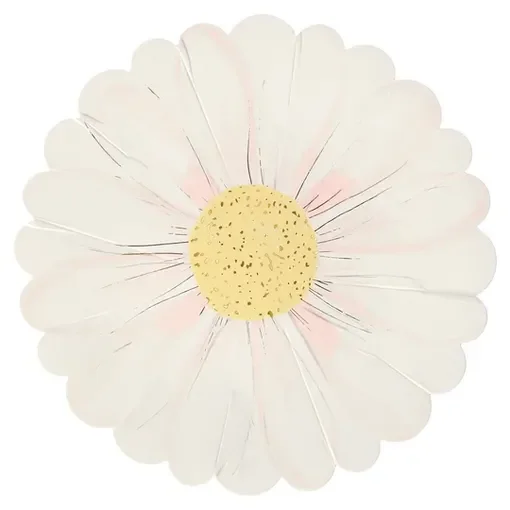 Meri Meri – Wild Daisy Plates