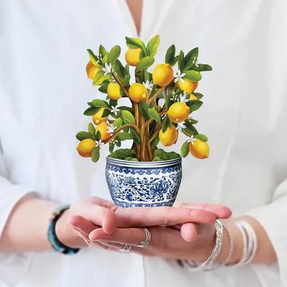 Mini Lemon Blossom Tree Pop Up Greeting Card