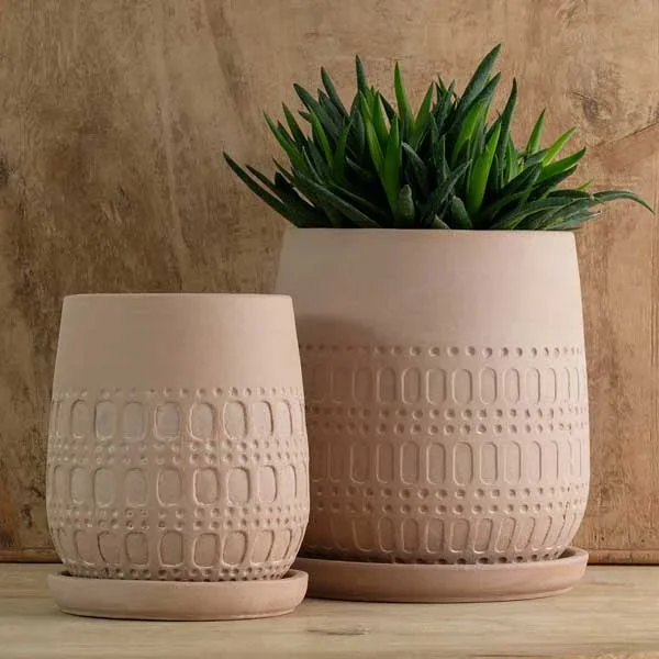 Mojave Planter – Shell – S/4 Campania International