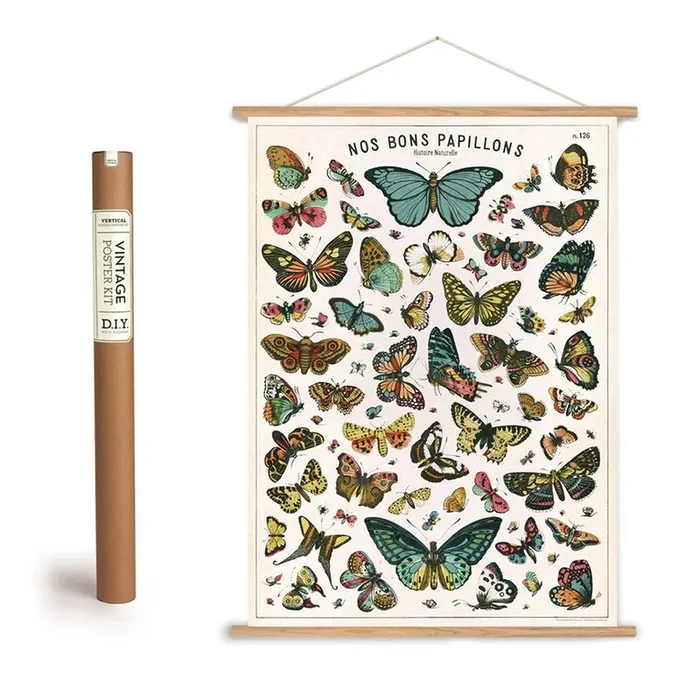 Natural History of Butterflies Papillons Art Poster + Hanging Kit