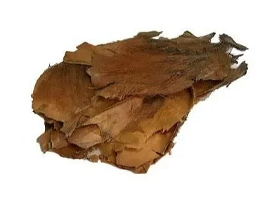 Natural Palm