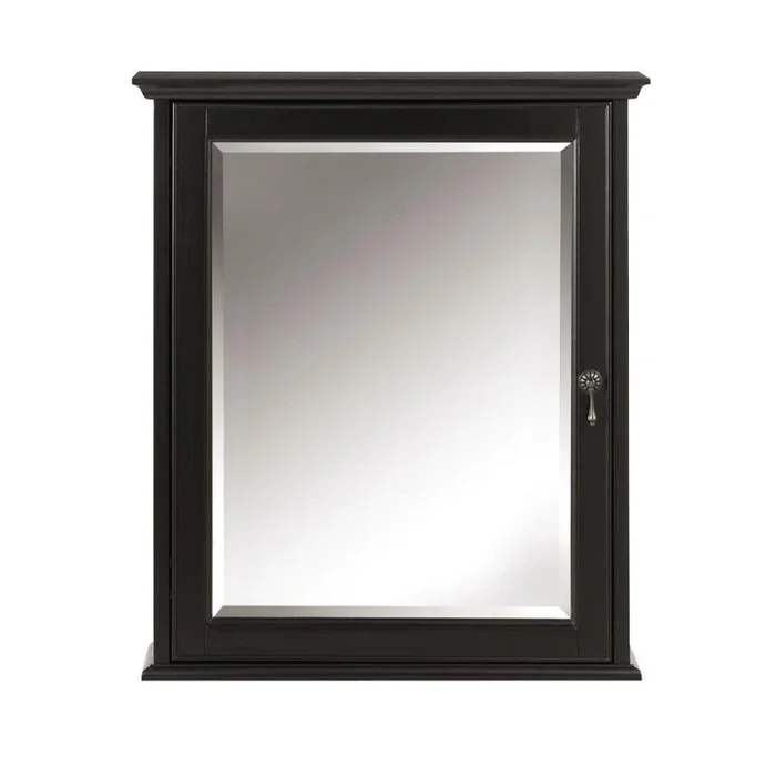 Newport 24 in. W x 28 in. H Framed Bathroom Medicine Cabinet in Black