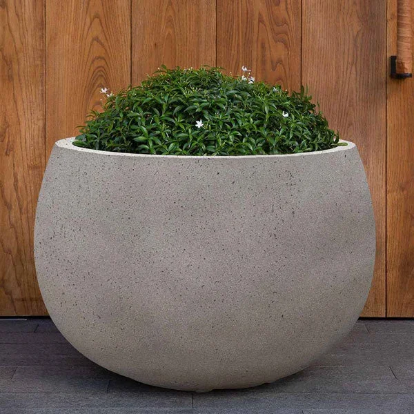 Norfolk Planter, Medium Campania International