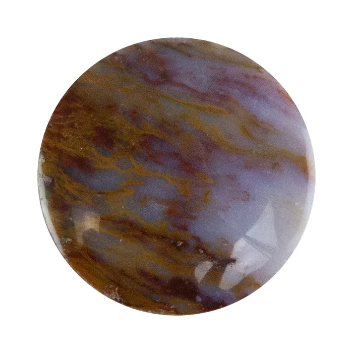 Opalwood – Round Cabochon 26mm – Pkg/1