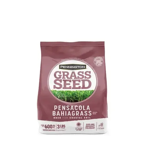 Pennington Pensacola Bahiagrass Full Sun Grass Seed 3 lb