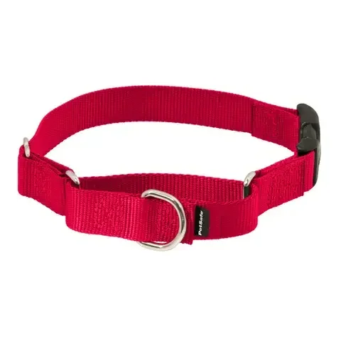 PetSafe Red Martingale Quick Snap Nylon Dog Collar Medium
