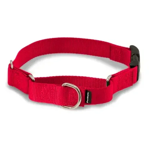 PetSafe Red Nylon Dog Collar Small