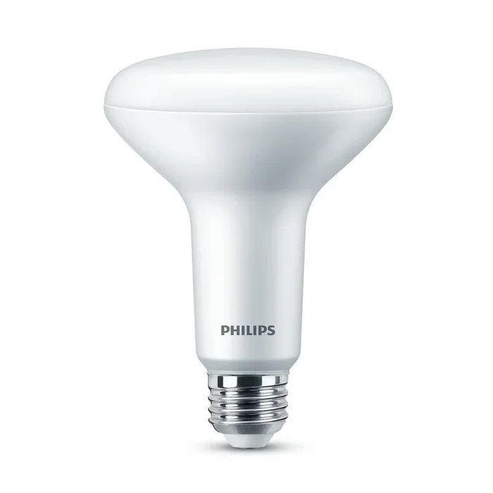 Philips 100-Watt Equivalent BR30 Dimmable Energy Saving LED Light Bulb in Daylight (5000K) (4-Pack)