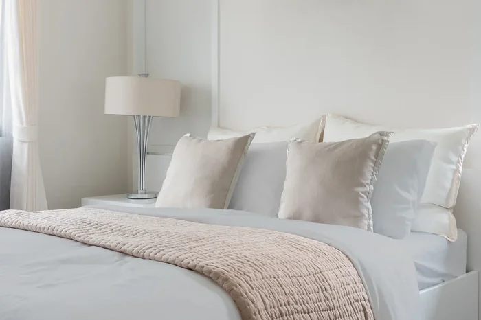 Premium Silky Soft 100% Tencel Lyocell Derived From Eucalyptus 4 Piece Sheet Set, Oeko Tex Certified, King Dove Gray Light Gray Eucalyptus