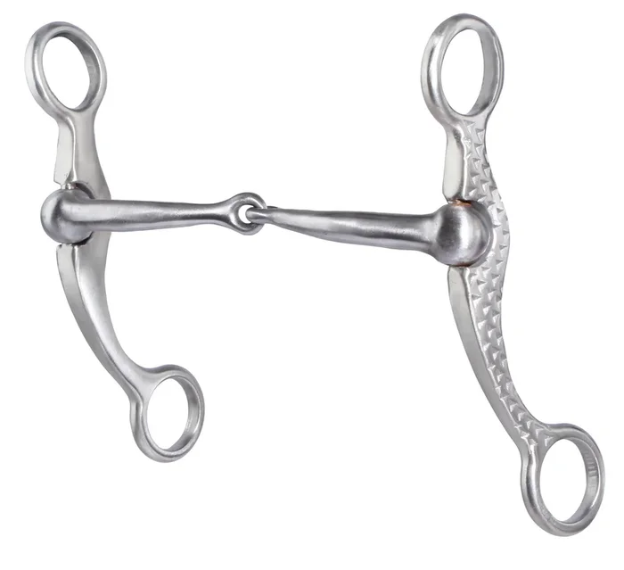 Professional’s Choice Rasp Shank Bit