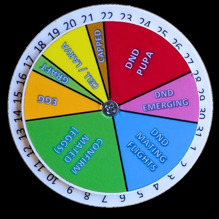 Queen Right Dial – Mating Indicator