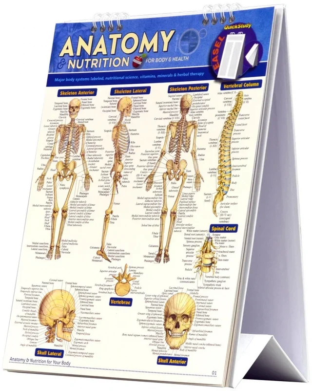 Quickstudy | Anatomy & Nutrition: For Body & Health Easel
