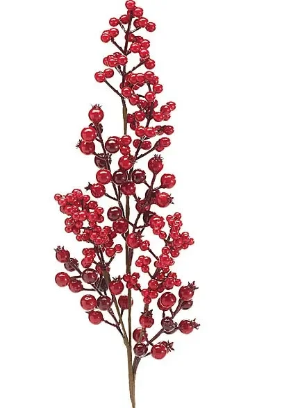 Red Berry Pick