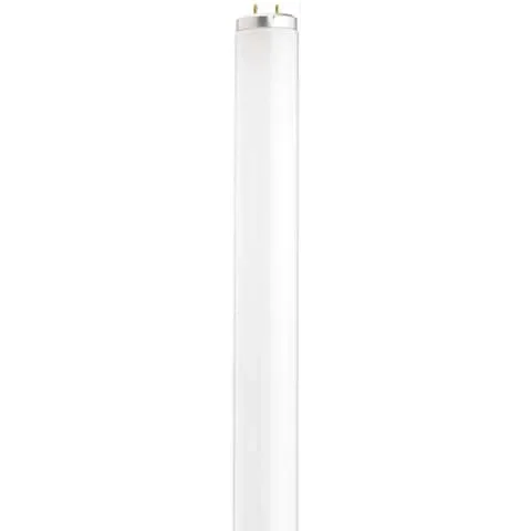 Satco 20 W T12 1.5 in. D X 23.78 in. L Fluorescent Bulb Cool White Linear 4100 K 1 pk