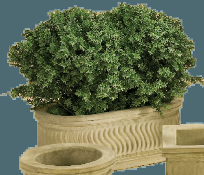 Scroll Planter Cast Stone Outdoor Garden Planter