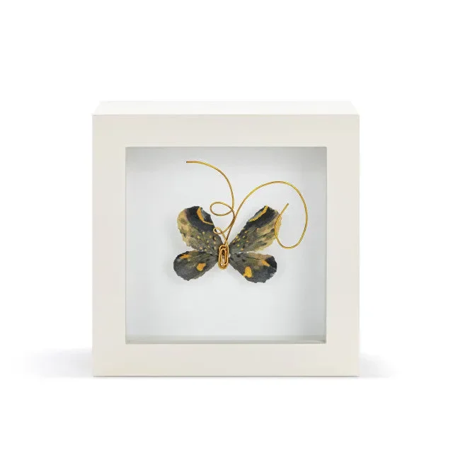 Shadow Box