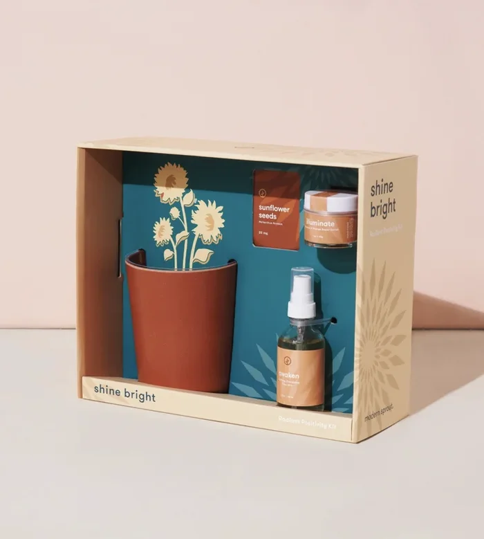 Shine Bright – Radiant Positivity Kit