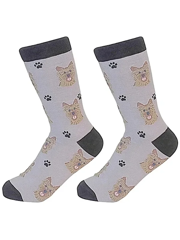 Socks Cairn Terrier 800-9
