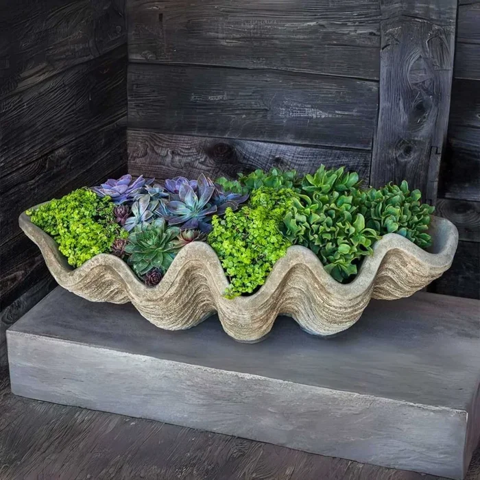 South Seas Large Concrete Shell Planter – Campania #W106