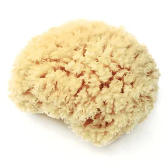 Sponge Sea Wool MED 4-4.5″