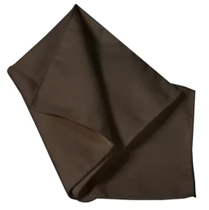 Star Struck’s Best Polishing Cloth