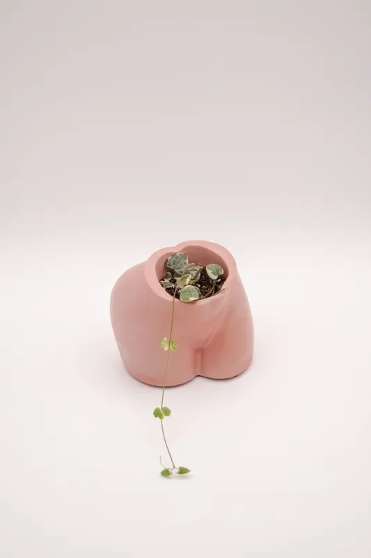 Tudi Planter