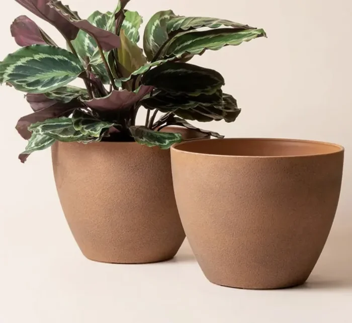 Tuileries Terracotta Pot 11.3″ –