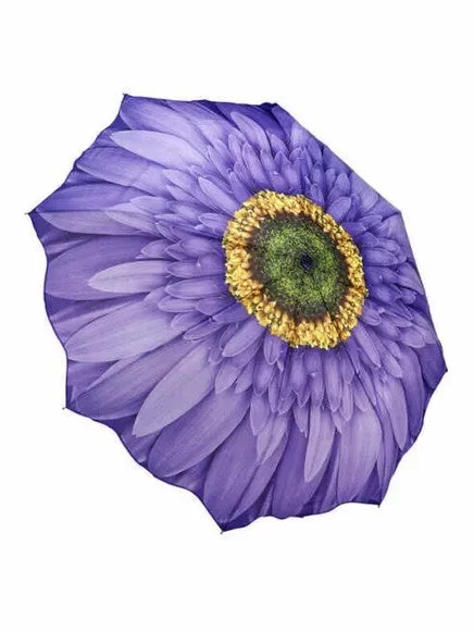 Umbrella – Folding -Wisteria Daisy-33029sc