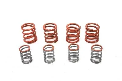 Valve Spring Set – V-Twin Mfg.