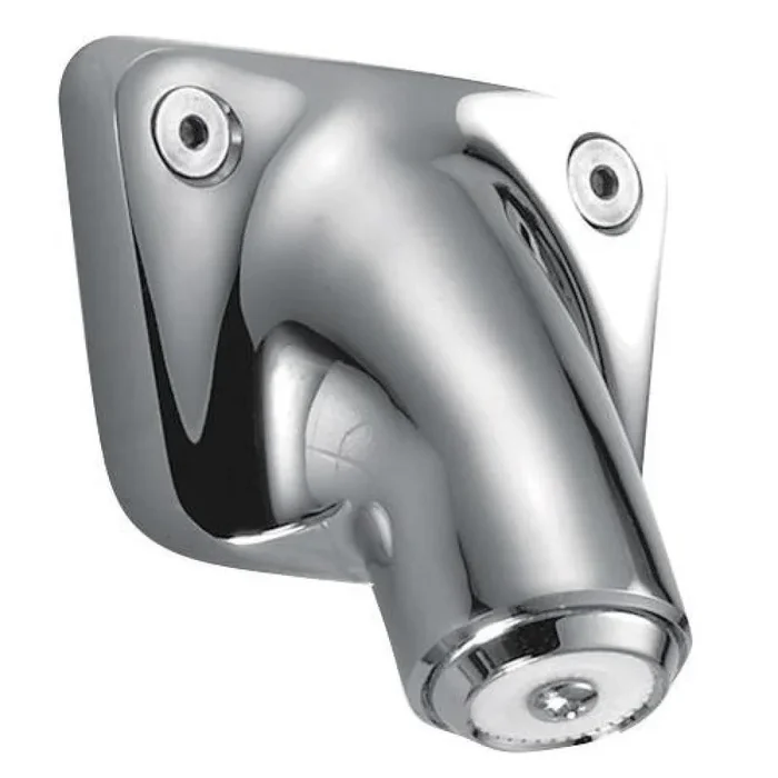 Vandal Resistant 1-Spray 2 in. Single Wall Mount Fixed Shower Head in Chrome