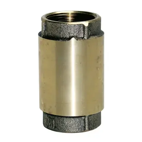 Water Source Brass 2 in. Check Valve
