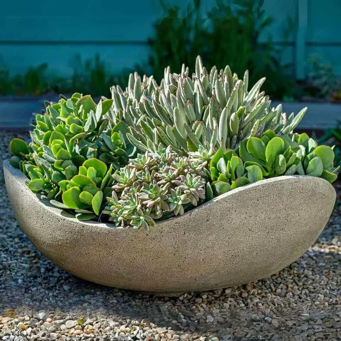 Wave Bowl Concrete Planter – Campania #P887