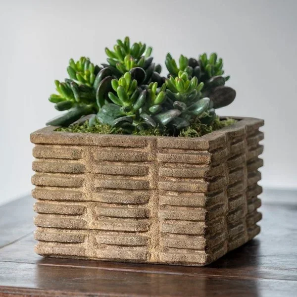Weft Square Planter by Campania International