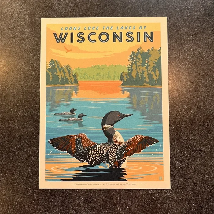 Wisconsin Loon (Postcard)